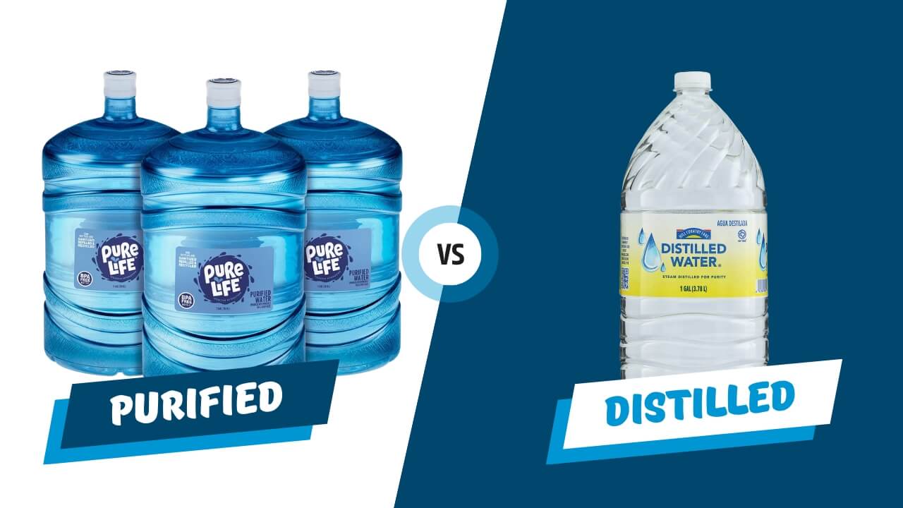 difference between distilled and purified water