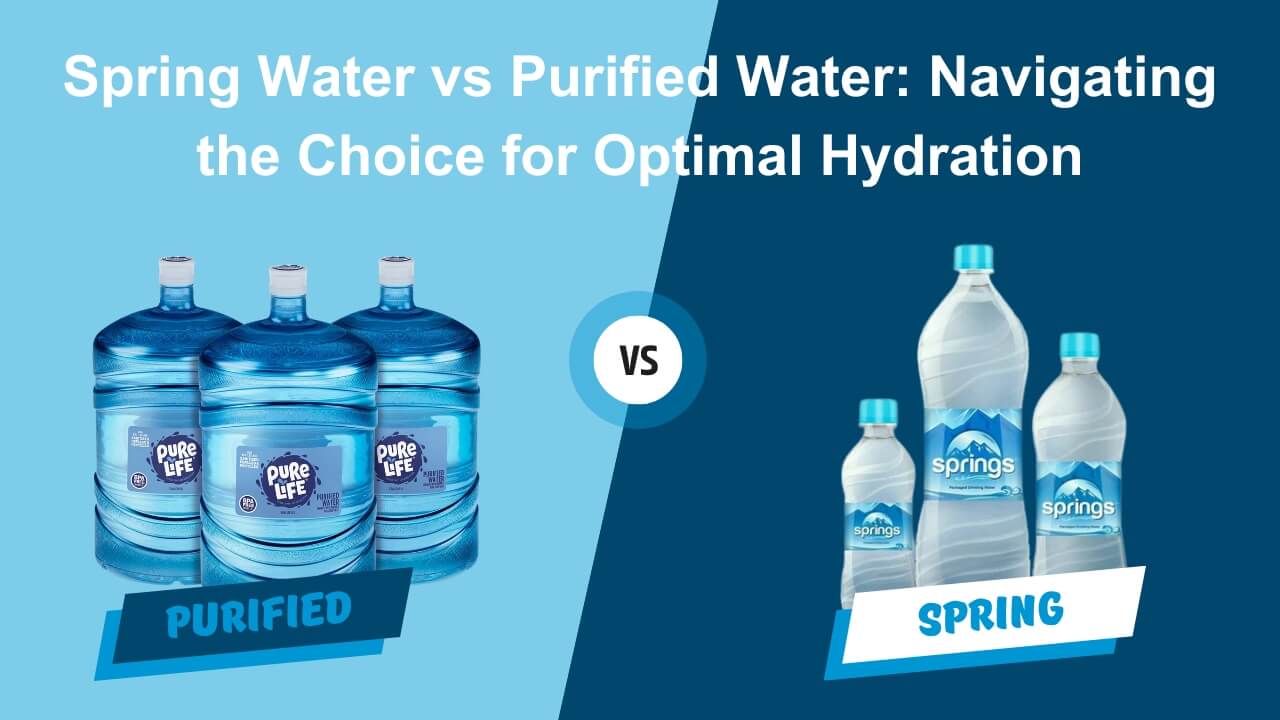 Purified Water VS Spring Water