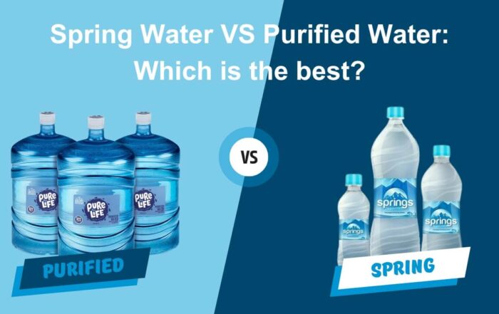 spring water vs purified water