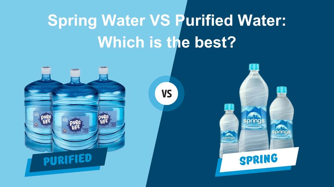 spring water vs purified water