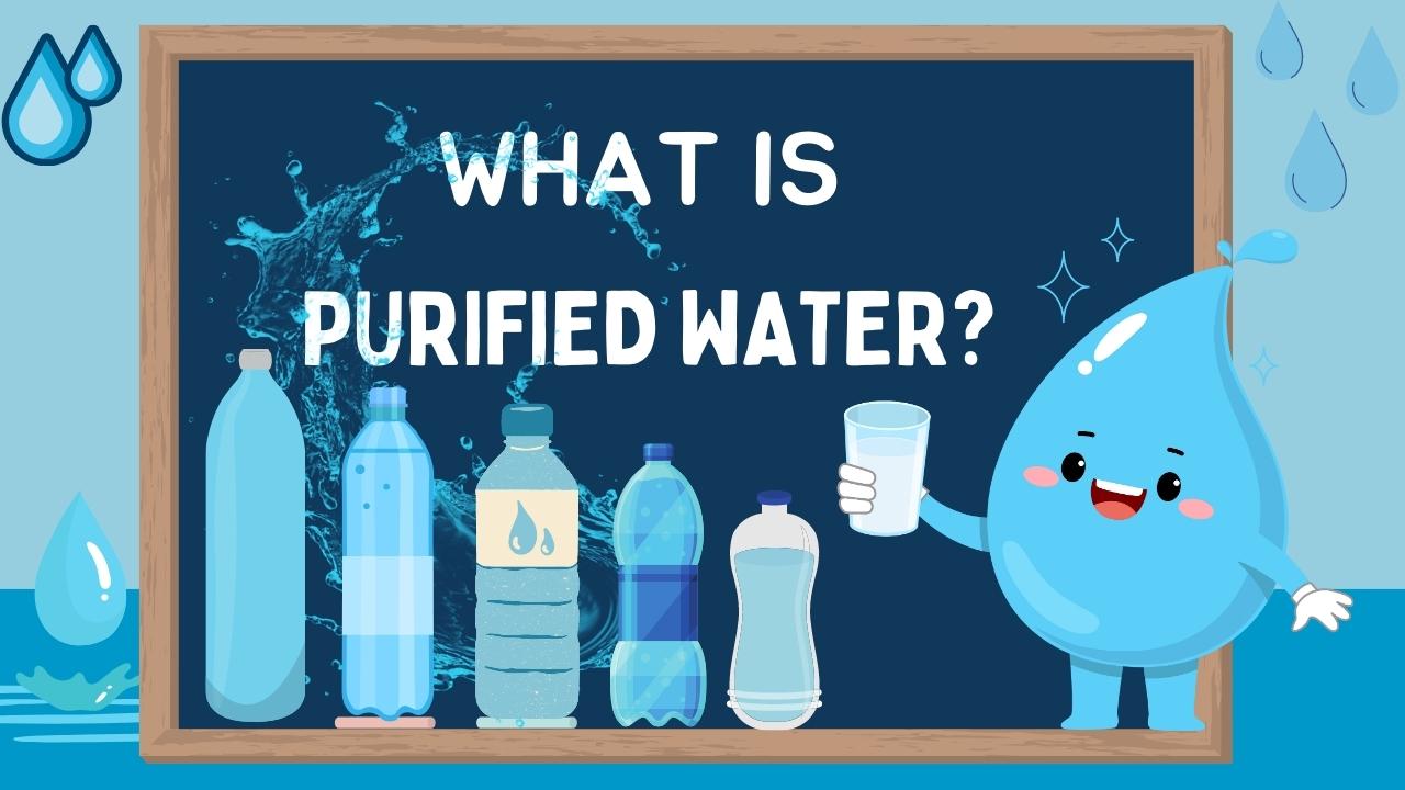 What is Purified Water?