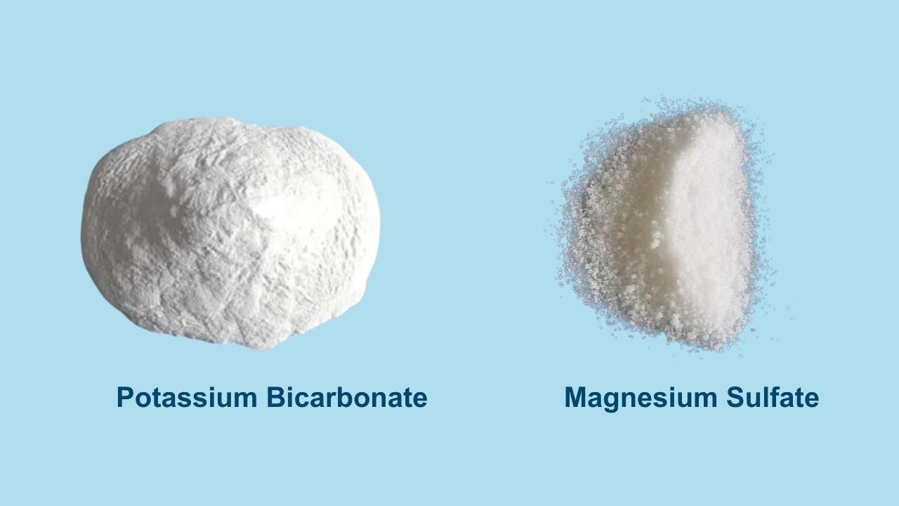 potassium bicarbonate and magnesium sulfate