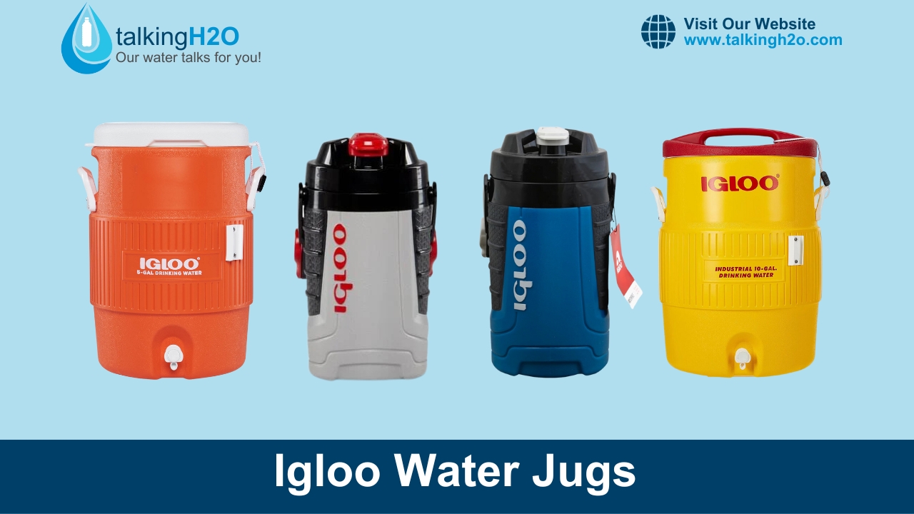 Igloo Water Jug