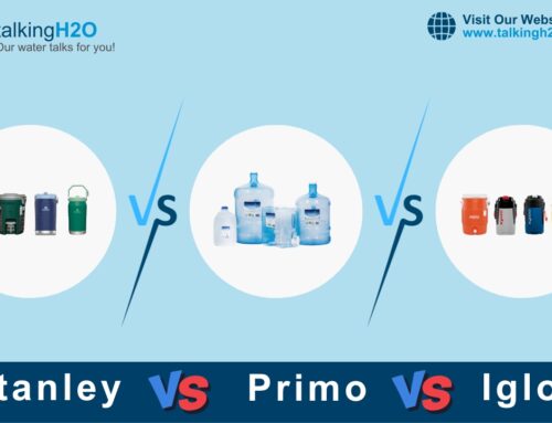 Comprehensive Review: Igloo, Stanley, and Primo Water Jugs
